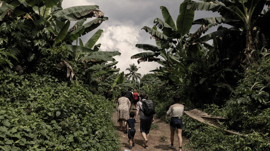 Un grupo de personas refugiadas y migrantes camina hacia el pueblo de Canaan, en el extremo sur de Panamá, tras cruzar el Tapón del Darién. Fotografía: ACNUR/Nicolo Filippo Rosso.